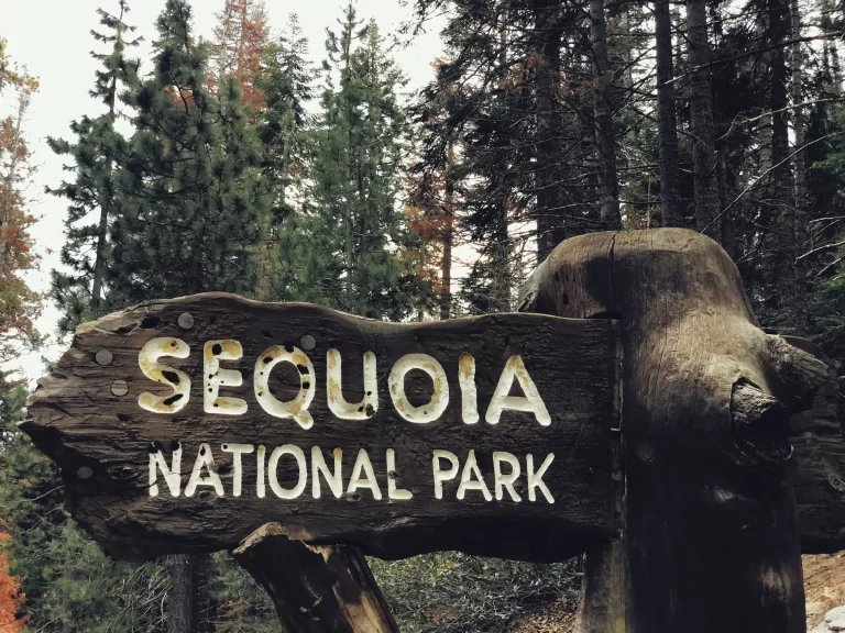The Best Time to Visit Sequoia National Park