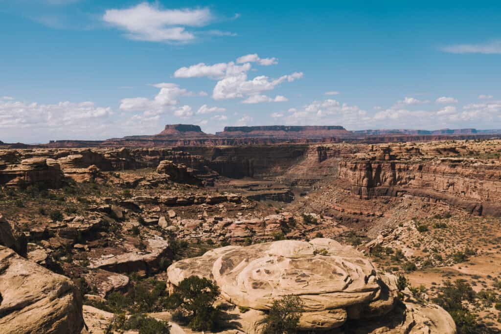 Slickrock Trail at Cayonlands National Park