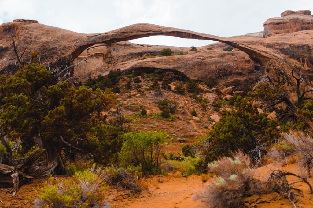 landscape arch at arches national park