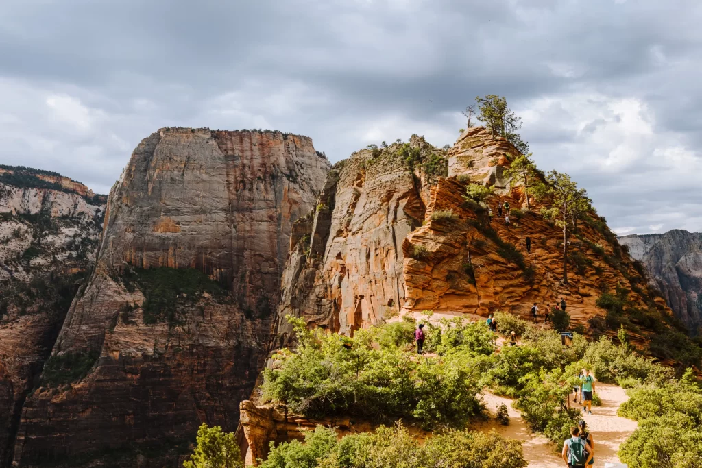 Scout's Lookout at Zion National Park