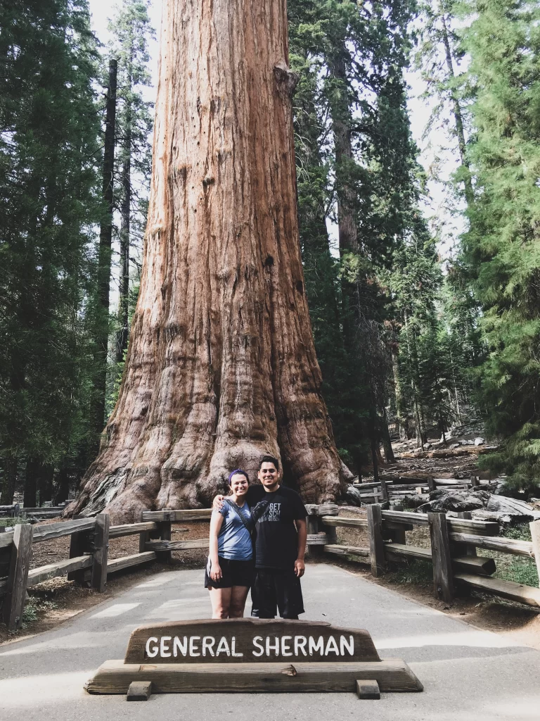 Hike the General Sherman Tree Trail at Sequoia National Park