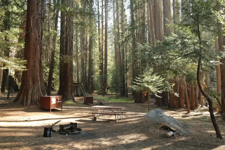 A Guide to the Best Camping in Sequoia National Park