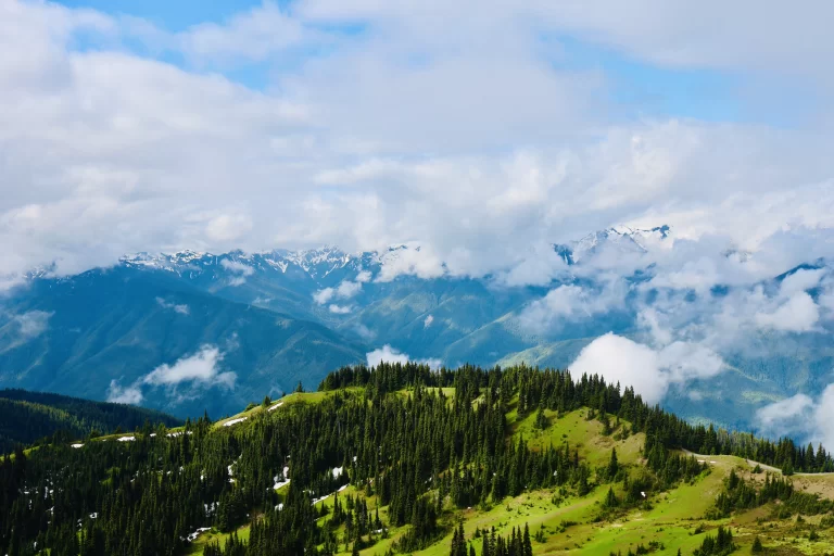 Steal Our 3 Day Olympic National Park Itinerary!