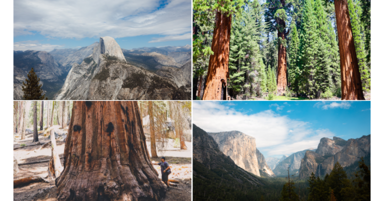 Yosemite to Sequoia National Park: Explore Two Iconic Parks